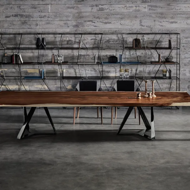 Libreria Lexington di Bontempi